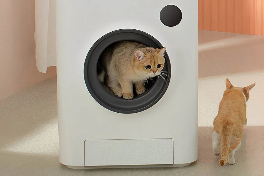 clean cat litter
